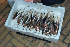 IMG-20231226-WA0071