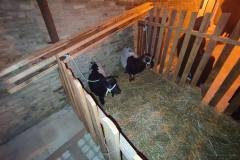 IMG-20231226-WA0091