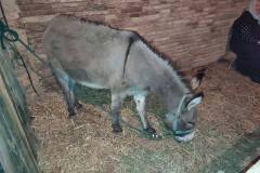 IMG-20231226-WA0116