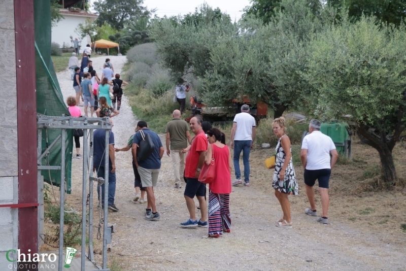 In fattoria... al profumo di lavanda