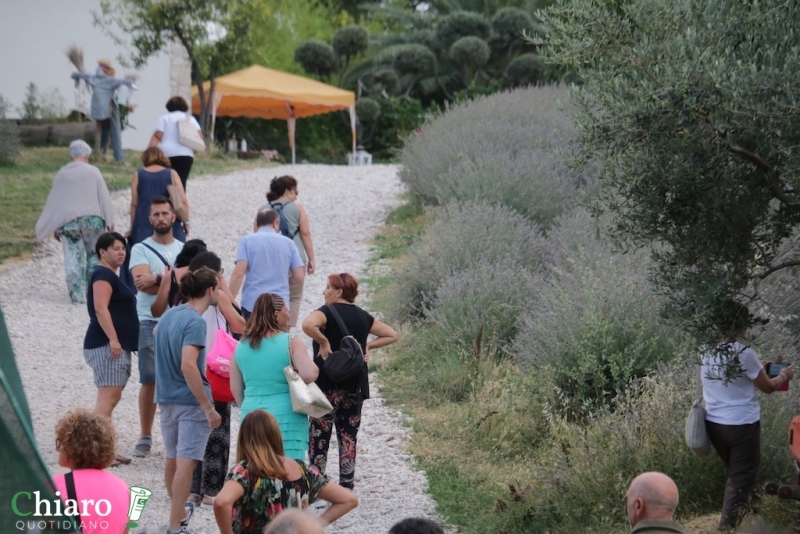 In fattoria... al profumo di lavanda