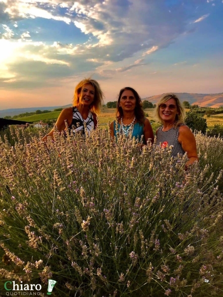 In fattoria... al profumo di lavanda