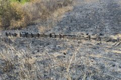incendio-casalbordino-iannace