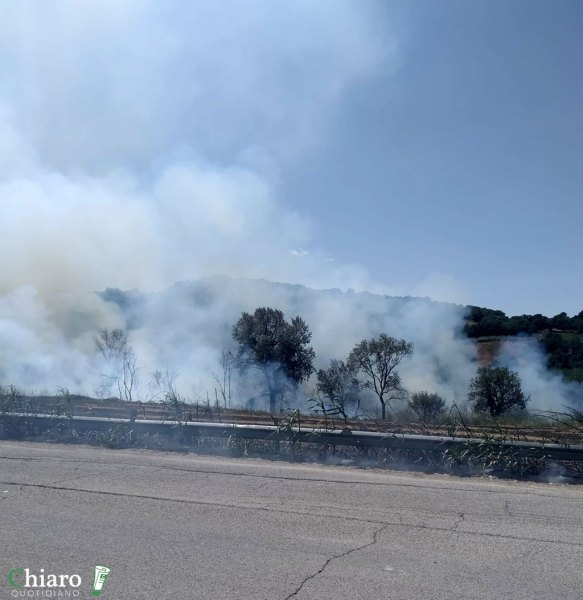 Incendio fondovalle Treste