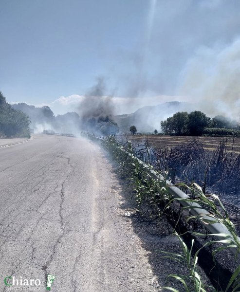 Incendio fondovalle Treste