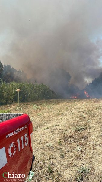 Incendio fondovalle Treste