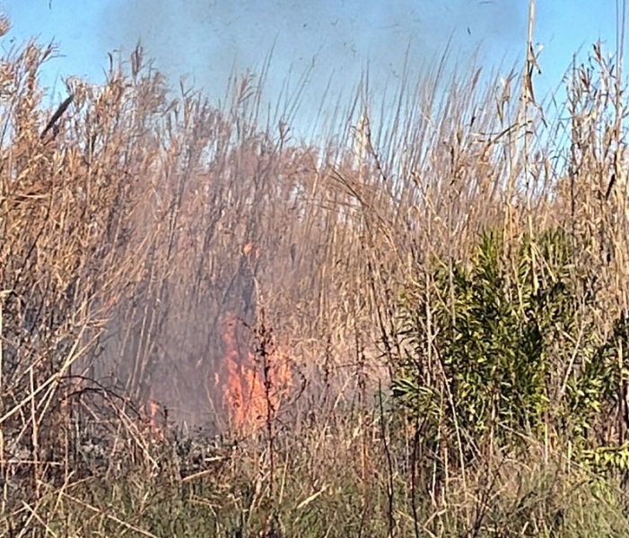 incendio-dune-vasto-marina-2