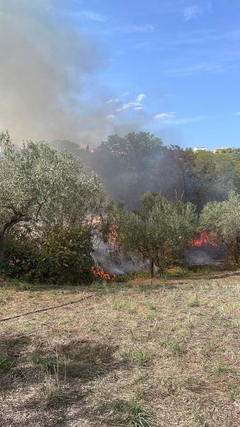 Incendio tra via Istonia e ss16