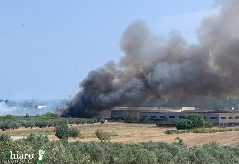 incendiozonaindustrialesansalvo030924-2