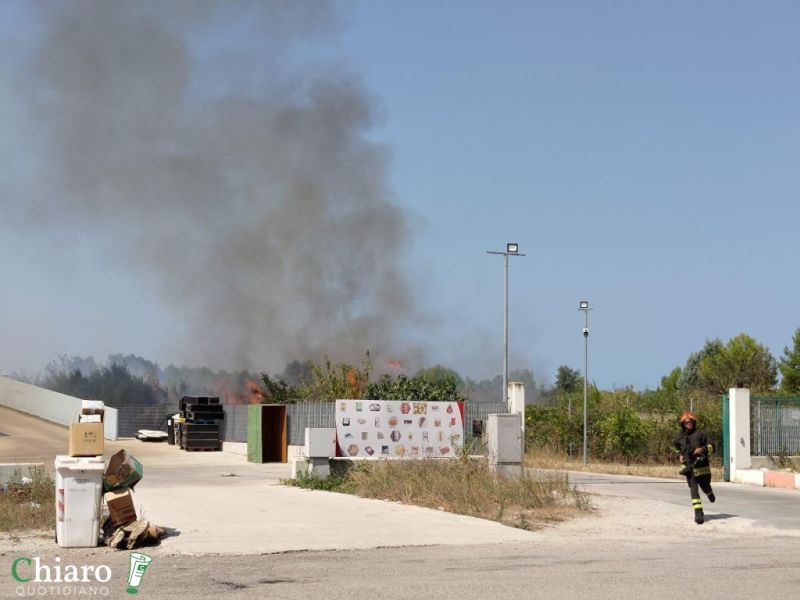 incendiozonaindustrialesansalvo030924-3