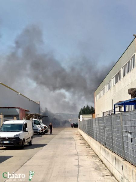 incendiozonaindustrialesansalvo030924-5