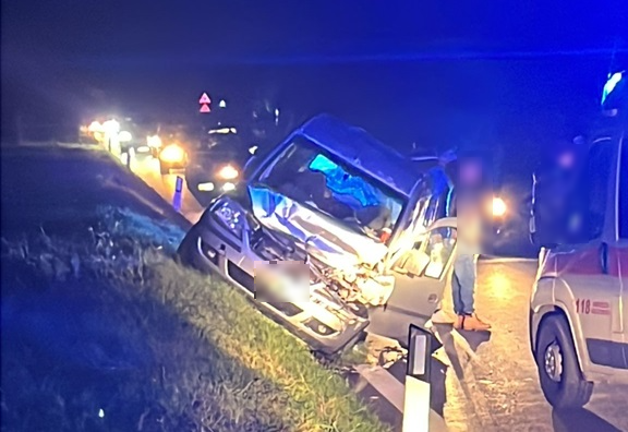 incidente.auto-cinghiale-pagliarelli-h