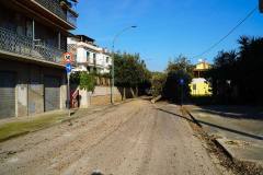 DSC00536