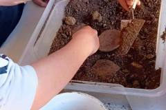 IMG-20260429-WA0010