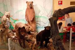 IMG-20260526-WA0044