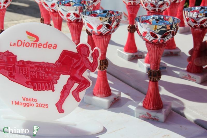 diomedea2025-10