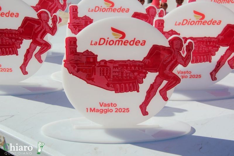 diomedea2025-9