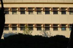 ex-magneti-marelli-1