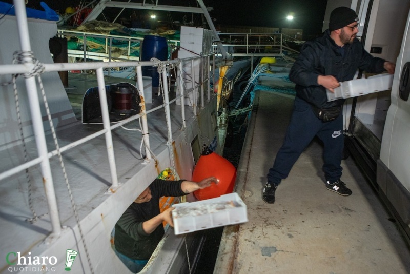 I pescherecci tornano in mare