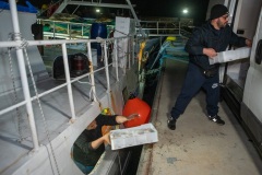 I pescherecci tornano in mare