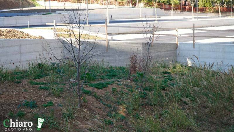 Riqualificazione quartiere San Paolo