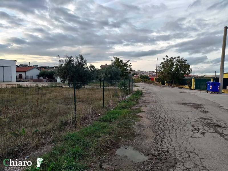 P_20231017_173127