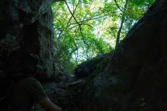 DSC01771