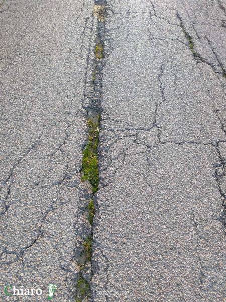 Provinciali disastrate a Gissi