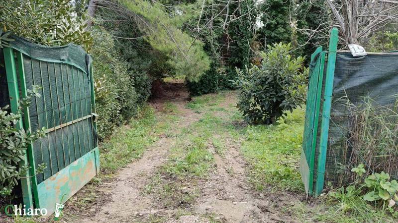 Sgomberi in località Canale