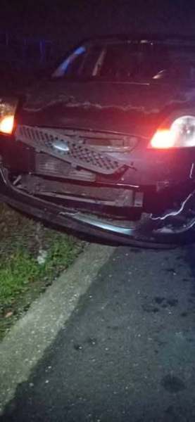 incidente-auto-lupo-casalbordino