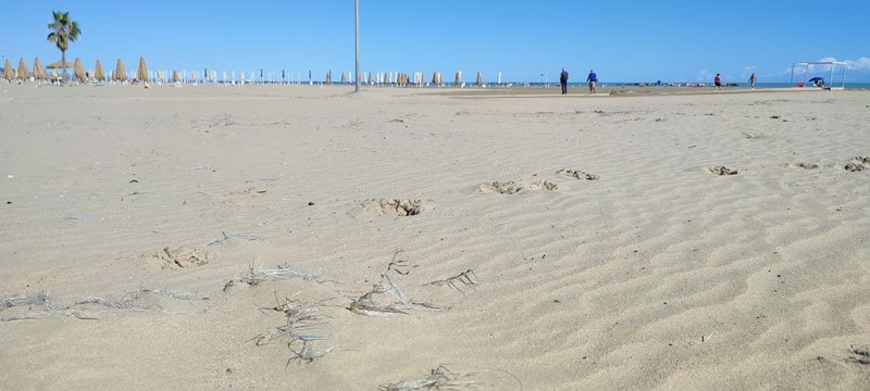 IMG_20220918_102405