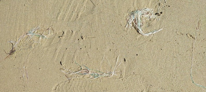 IMG_20220918_105136