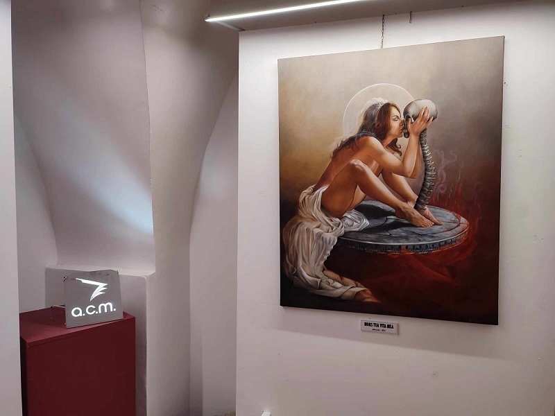 mostra-ragnatelli-12