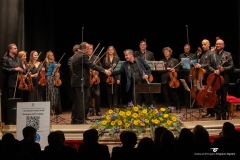 National chamber ensemble Kyiv Soloists