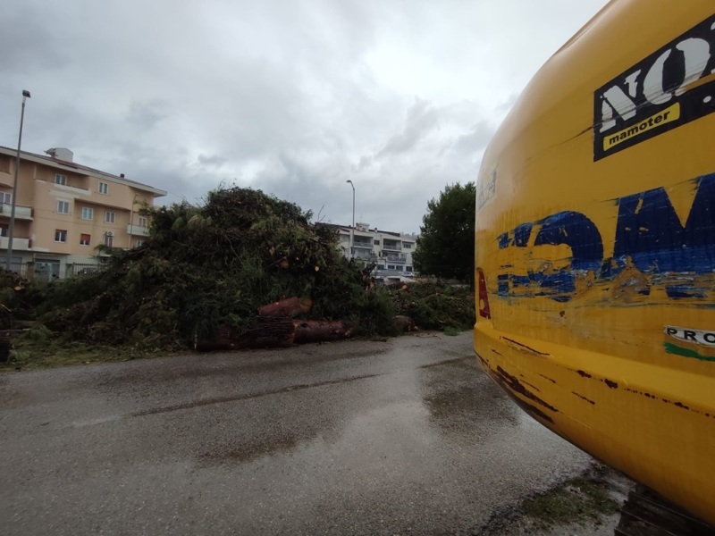 alberi-segati-ex-stazione-3