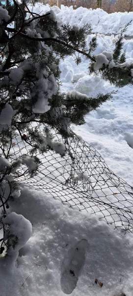 neve-campo-sportivo-san-buono-3