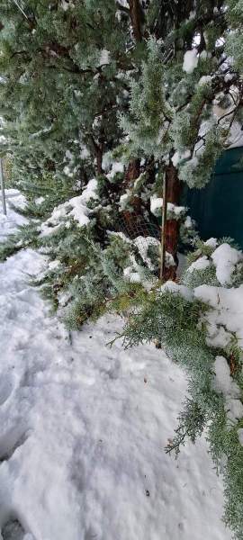 neve-campo-sportivo-san-buono-4