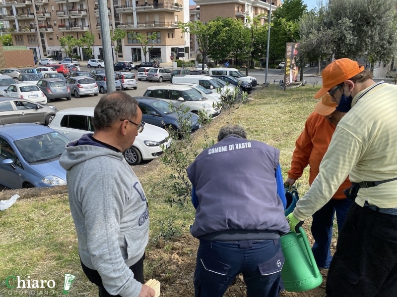 Nuovi alberi piantati a Vasto
