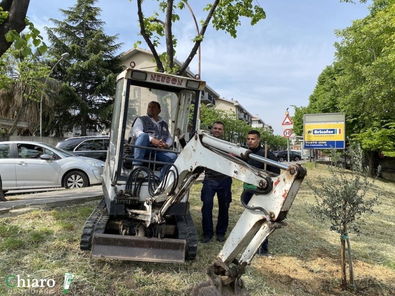 Nuovi alberi piantati a Vasto