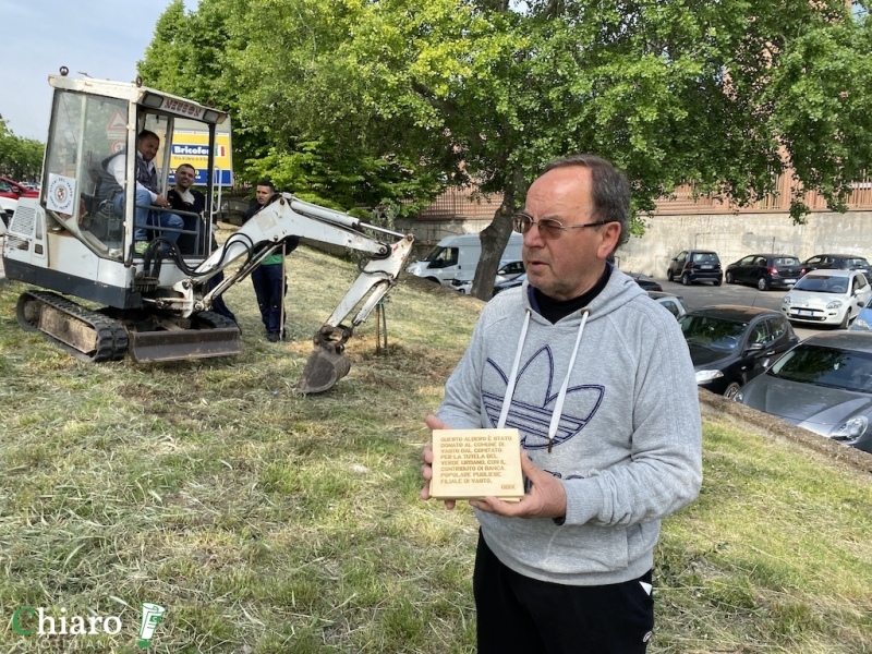 Nuovi alberi piantati a Vasto