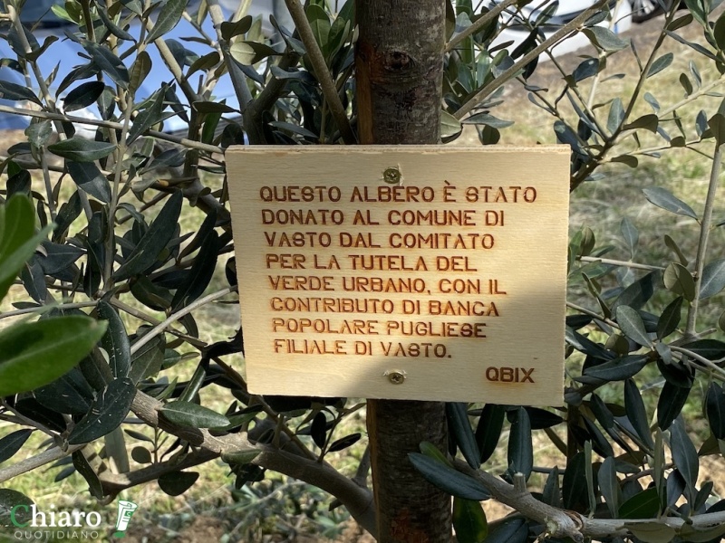 Nuovi alberi piantati a Vasto