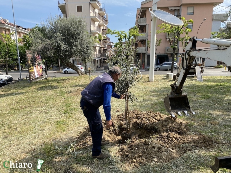 Nuovi alberi piantati a Vasto