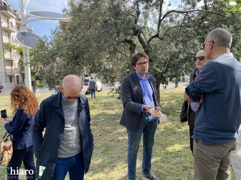 Nuovi alberi piantati a Vasto