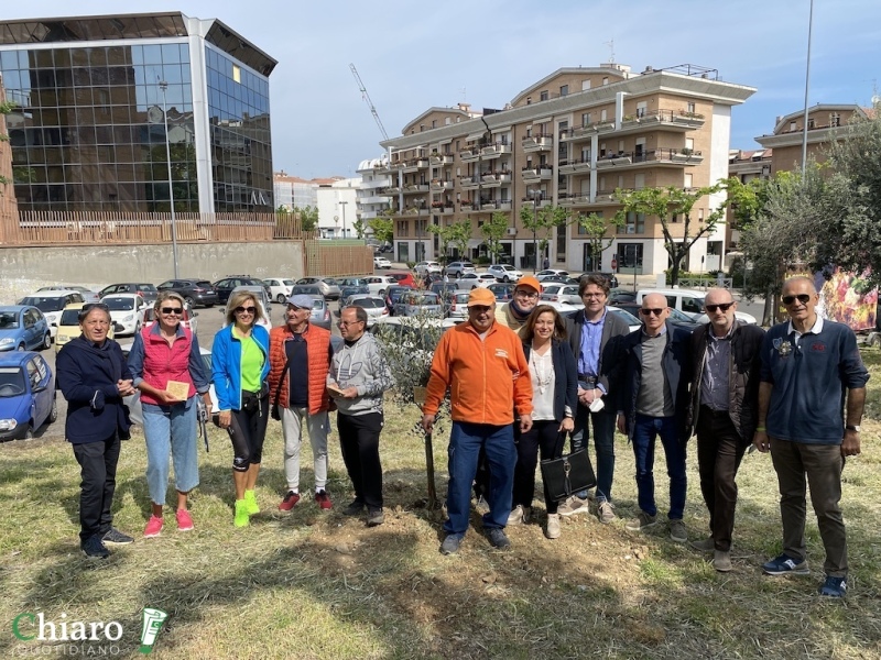 Nuovi alberi piantati a Vasto