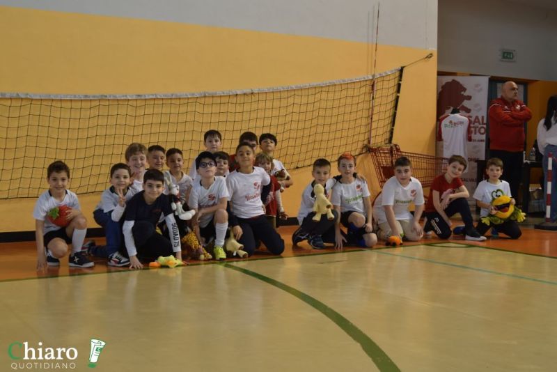 peluchefutsalvasto-3