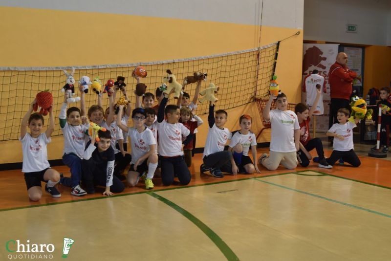 peluchefutsalvasto-4