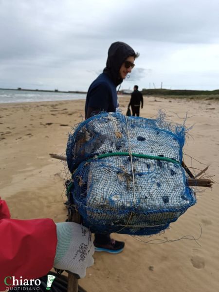 plasticfree2024-7