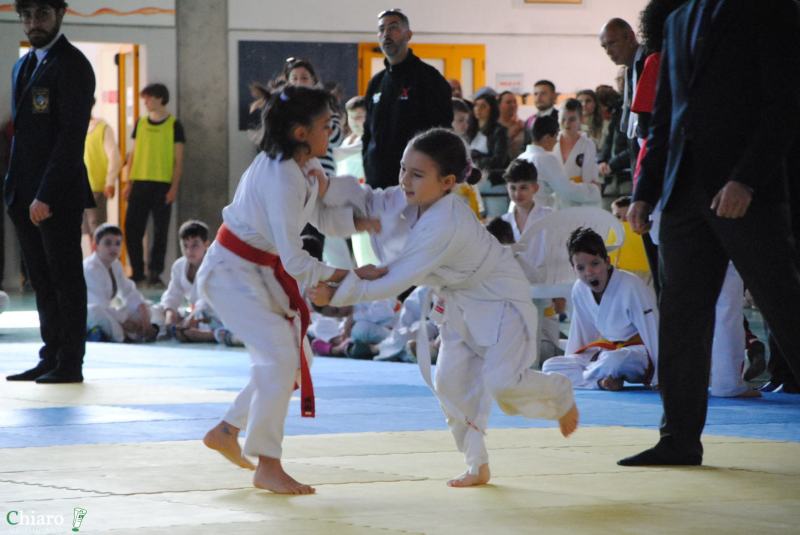play-judo-115