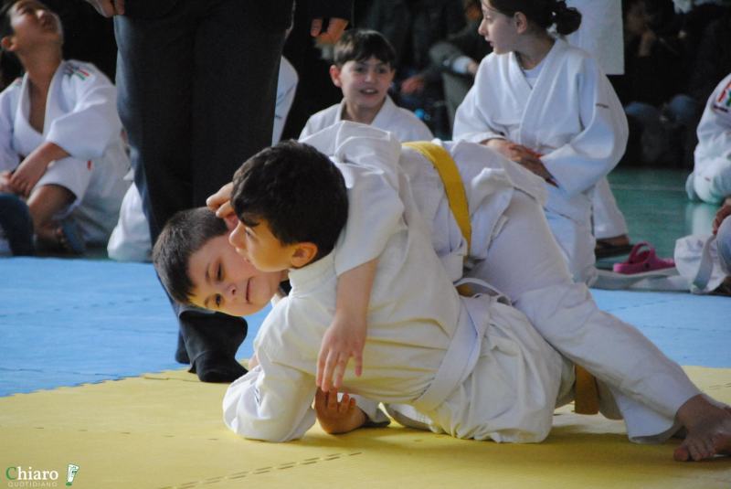 play-judo-165