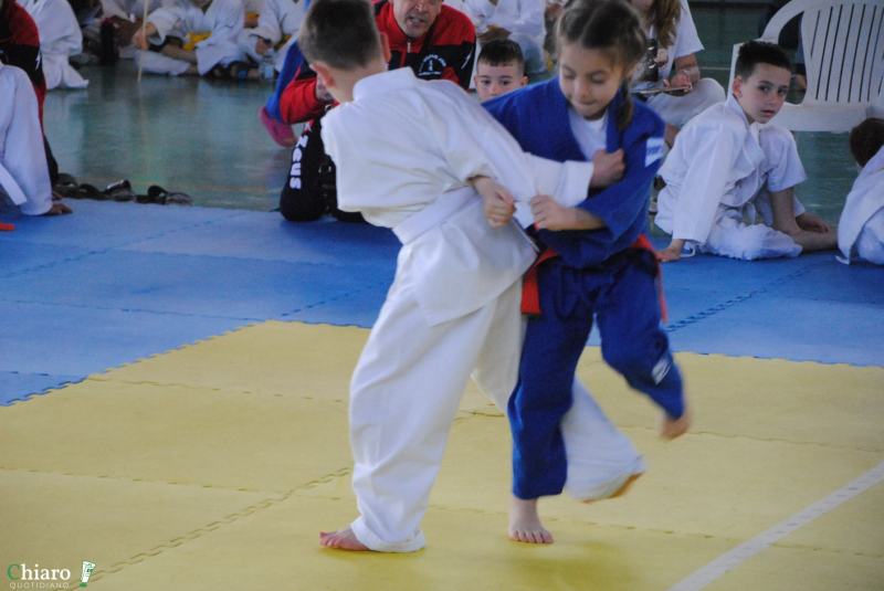 play-judo-246
